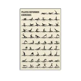 AP1001 AMZPOSTERLN Reformer Pilates Poster Yoga Exercises Gym