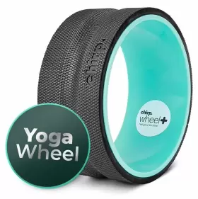 10-PW-PLUS CHIRP Wheel Stretcher Sweat Foam Padding