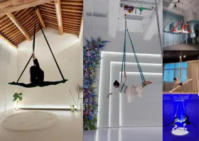 LOOPS8.2FT-2.5M DREAMLIN Aerial Straps Ropes Yoga Acrobatics