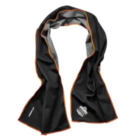 12668 ERGODYNE Chill Its Cooling Towel Microfiber