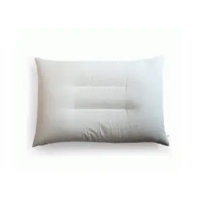 580379090537 FUTONTOKYO Set Buckwheat Pillow Envelope Pill