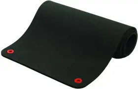 313038166175 GAIAM Spri Exercise Mat Fitness Yoga Classes