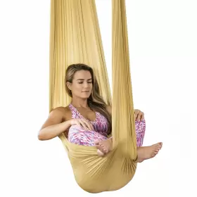 712038620548 HEALTHYMODELLIFE Pinc Silk Aerial Yoga Swing Kit