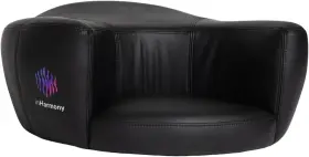 860011286004 INHARMONY Amplified Meditation Cushion Seat Vat