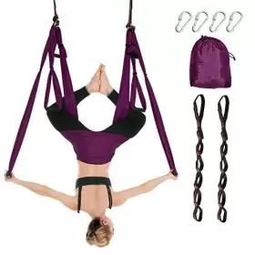 DC-001 IPHONEPASSTECK Aerial Yoga Swing Set Ultra Antigravity #2 DC-001 IPHONEPASSTECK Aerial Yoga Swing Set Ultra Antigravity #2