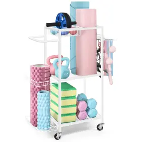 NX-R310-AMA LIANTRAL Yoga Mat Storage Rack Gym Organizer Foam NX-R310-AMA LIANTRAL Yoga Mat Storage Rack Gym Organizer Foam