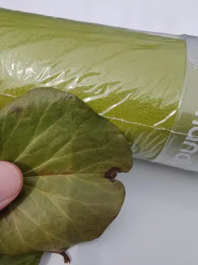 840104821633 MANDUKA Leaf Eko Superlite Yoga Mat Travel