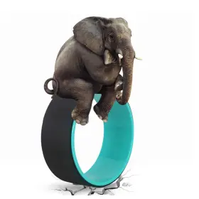 768111485337 NGT NEW GUIDE STEPS Yoga Wheel Pain Strongest #3