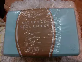817149023889 OAK AND REED Set Yoga Blocks Aqua Wrapped