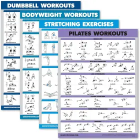 4-DUM-BDY-STR-PILA PALACE LEARNING Pack Dumbbell Workouts
