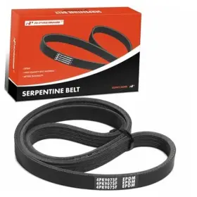 APSBT341 PREMIUMPARTSWHOSALE Serpentine Belt Stretch Corvette