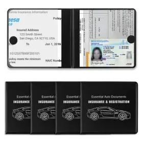 19QCZJJ0001 REGUICORP Registration Holder Auto Essential Inte