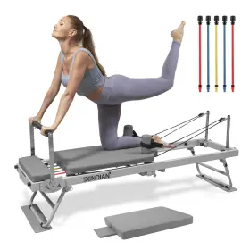 SDR700 SENDIAN Pilates Workouts Reformer