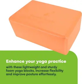 STEAD-000069 STEADYDOGGIE Steady Doggie Yoga Blocks High Slip #2
