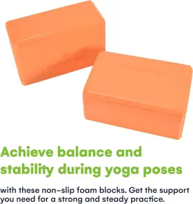 STEAD-000069 STEADYDOGGIE Steady Doggie Yoga Blocks High Slip #3