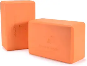 STEAD-000069 STEADYDOGGIE Steady Doggie Yoga Blocks High Slip