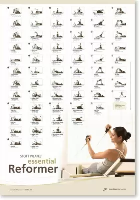 ST-09572 STOTT PILATES Wall