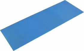 031-B SUNNY HEALTH FITNESS Yoga Mat Th Tear #2