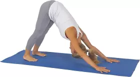 031-B SUNNY HEALTH FITNESS Yoga Mat Th Tear