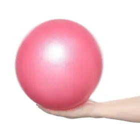 202104-3102-2 SWINILAYA Pilates Exercise Ball Physical Knees