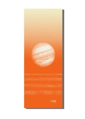 490820235223 YUNE YOGA Slip Pilates Mat