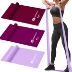 A Azurelife Resistance Bands,professional Long Non-latex Elastic 5-ft, Purple. Fixed Price $38.04.