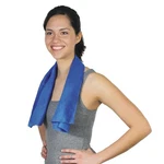 Alphacool Pva Cooling Towel For Men And Women Soft Absorbent Large, Blue. Fixed Price $26.99.
