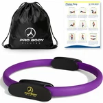 Probody Pilates Fitness Circle 14 Inch Ring For Yoga And Purple. Fixed Price $37.90.