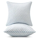 Miulee 20x20 Pillow Inserts, Memory Foam Cooling Set Of 2 Decorative Throw Pi.... Fixed Price $51.70.