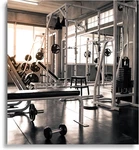 Ultra Durable Activity Mirror For Gym, Dance & Yoga - 36"x72. Fixed Price $693.99.