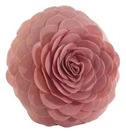 Saro Lifestyle Flower Design Poly Filled Throw Pillow, Rose, 13" Elegant Texture. Fixed Price $24.99.