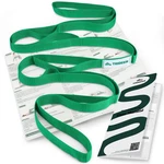Trideer Stretching Strap With Loops & Leg Lifter, Nonelastic Ptstyle Physical.... Fixed Price $16.69.
