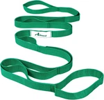 Abiarst Stretching Strap Yoga For Physical Therapy, 10 Loops Strap.... Fixed Price $10.30.