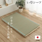 Ikehiko Japanese Igusa Tatami Mat Foldable Sleeping Pad Cool Antibacterial Japan. Fixed Price $120.00.