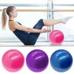 Pro Body Pilates 9 Mini Exercise Ball For Fitness Bender Toning Yoga Barre Core. Fixed Price $7.63.