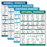 Palace Learning 4 Pack - Dumbbell Workouts + Bodyweight 18 X 24 , Laminated. Fixed Price $20.72.
