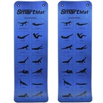 Prism Fitness Thick Smart Self Guided Stretching And Exercise Mat, Blue (2 Pack). Fixed Price $114.99.