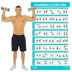 Vive Dumbbell Workout Poster - Home Gym Exercise For 30"l X 17"w, Multicolor. Fixed Price $16.80.