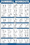 Palace Learning Dumbbell Workout Exercise Poster - Free Weight Body Building. Fixed Price $10.49.