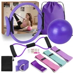 Nuplot Pilates Equipment, Kit For Home Workouts, Purple. Fixed Price $31.76.