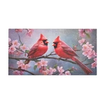 Goodold Cardinal Bird Pattern Kitchen Mats 20"x39" Absorbent Non Slip Runner .... Fixed Price $39.49.