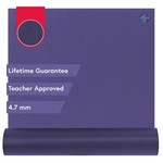 Yoga Mat 4.7mm 71 X 24 Purple Prolite Manduka Lifetime Durability Hygienic. Fixed Price $179.99.