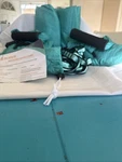 Yoga Swing Pro Premium Aerial Hammock Kit Anti-gravity. Fixed Price $80.00.