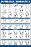 Palace Learning Dumbbell Workout Exercise Poster Free Weight Body Building Guide. Fixed Price $10.79.