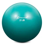 Prosourcefit Weighted Toning Exercise Balls For Pilates Yoga Strength Training. Fixed Price $19.99.