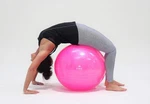 65cm Stability Ball, Yoga, Pilates, Core, Strength & Balance. Fixed Price $18.99.