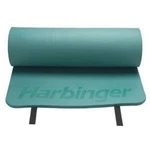 New Harbinger 5/8" Ribbed Durafoam Exercise Yoga Workout Mat - Green. Fixed Price $69.00.