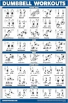 Palace Learning Dumbbell Workout Exercise Poster - Free Weight Body Building Gui. Fixed Price $11.50.