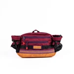 Wilderdog Mega 3-liter Hip Pack, Mesh Bottle Pockets, Poop Bag Dispenser. Fixed Price $74.99.
