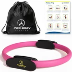 Probody Pilates Fitness Circle 14 Inch Ring For Yoga And Other Pink. Fixed Price $38.57.